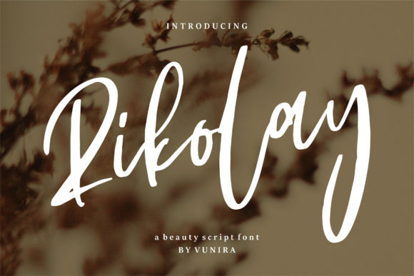 Rikolay: The Bold Script Font for Eye-Catching Digital Branding