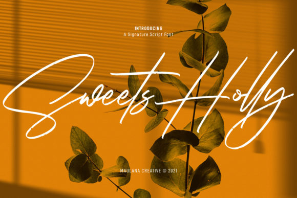 Sweets Holly for Creative Web Design and Brand Identity