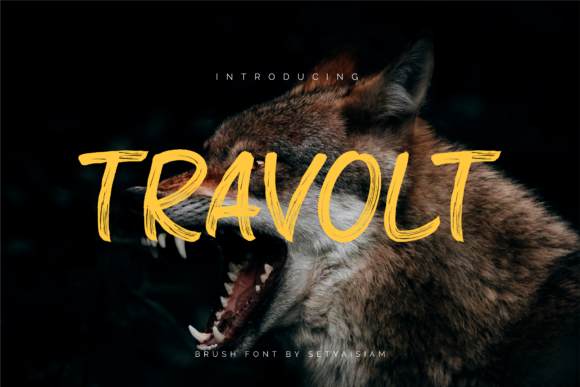 Travolt: The Font That Elevates Your Campaigns