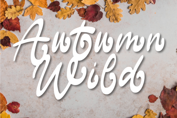 Wild Autumn: The Font That Elevates Your Brand